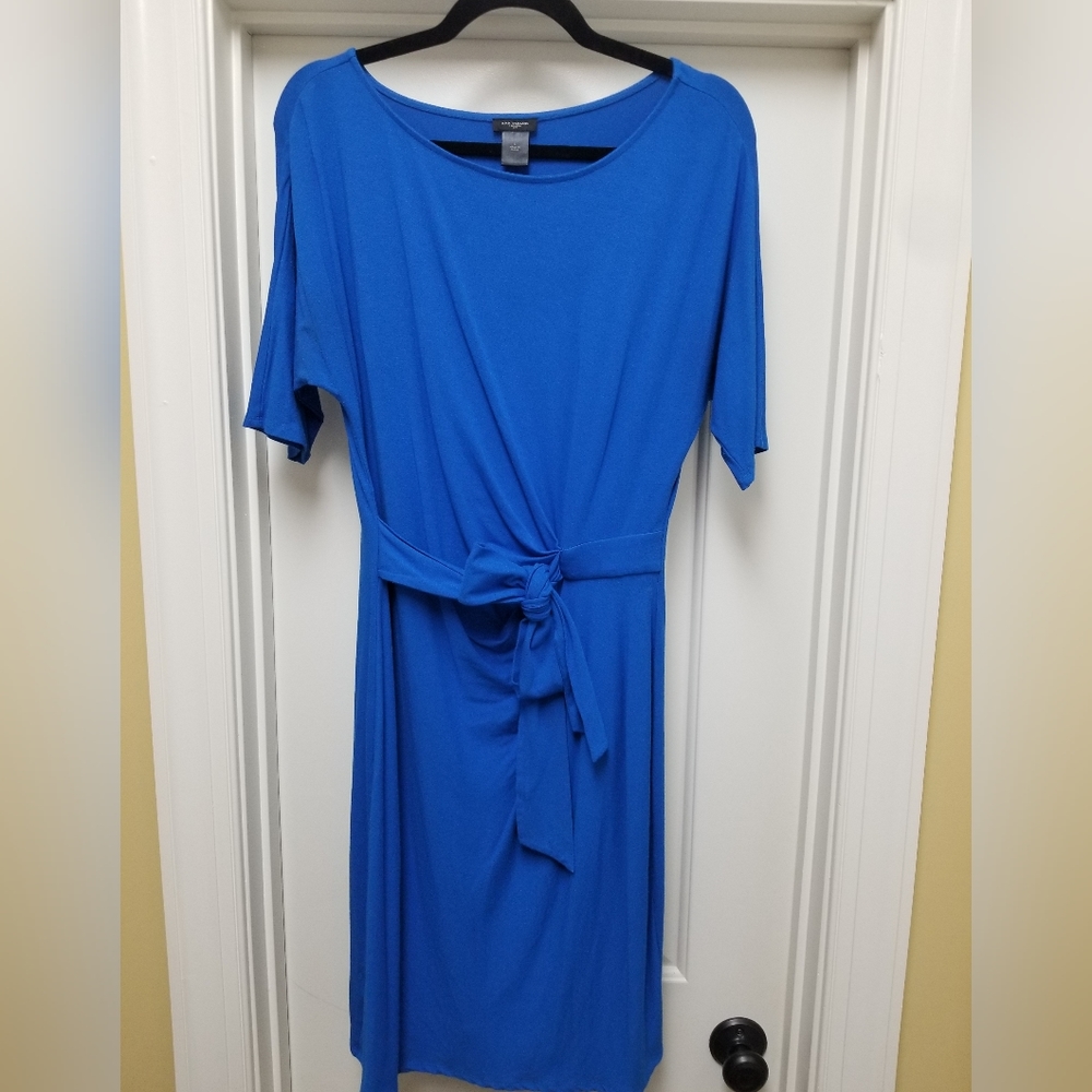 Ann Taylor Dress